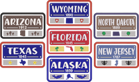 State Plate Patch #01