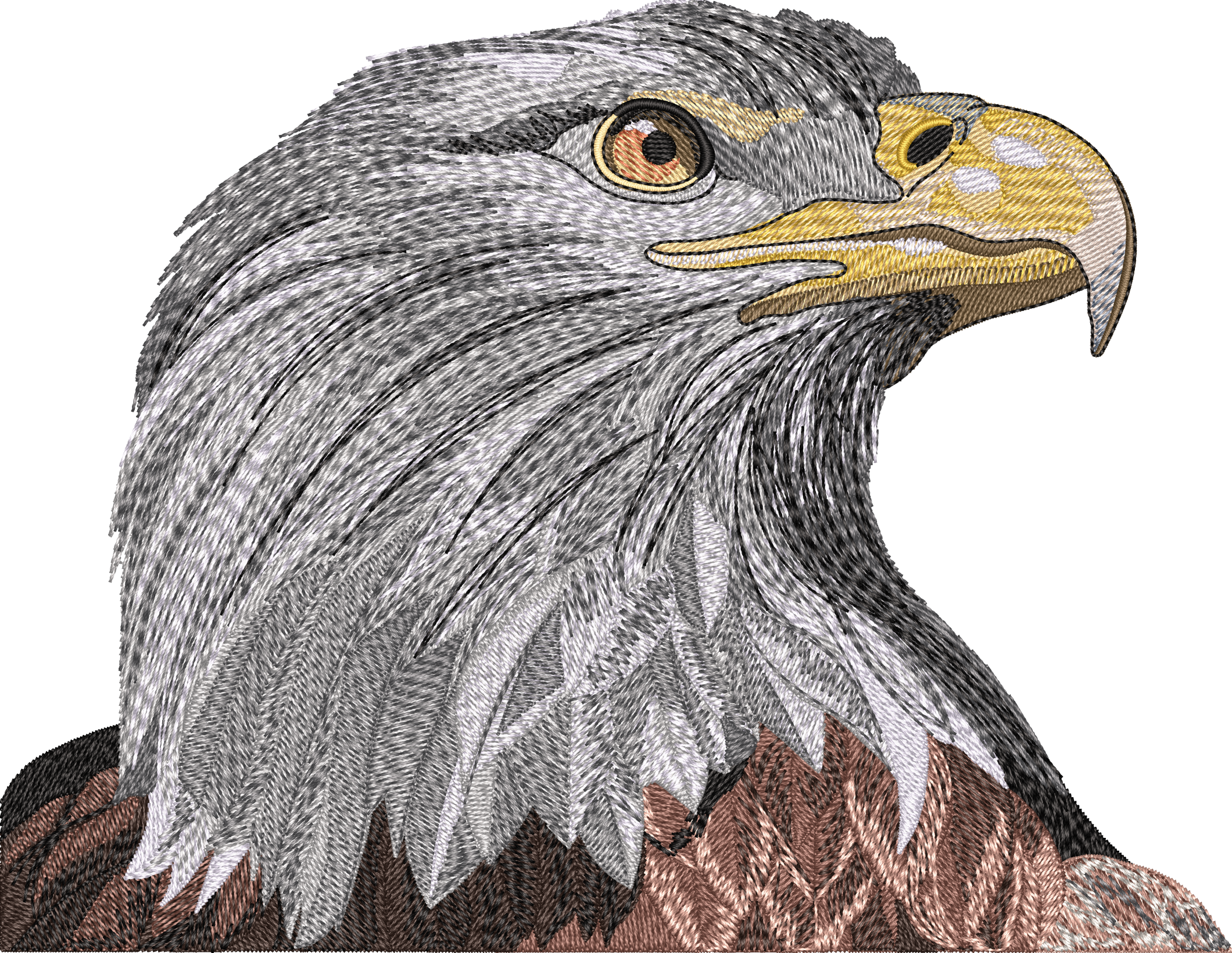 FLAG_BALD_EAGLE-2_head_only.png