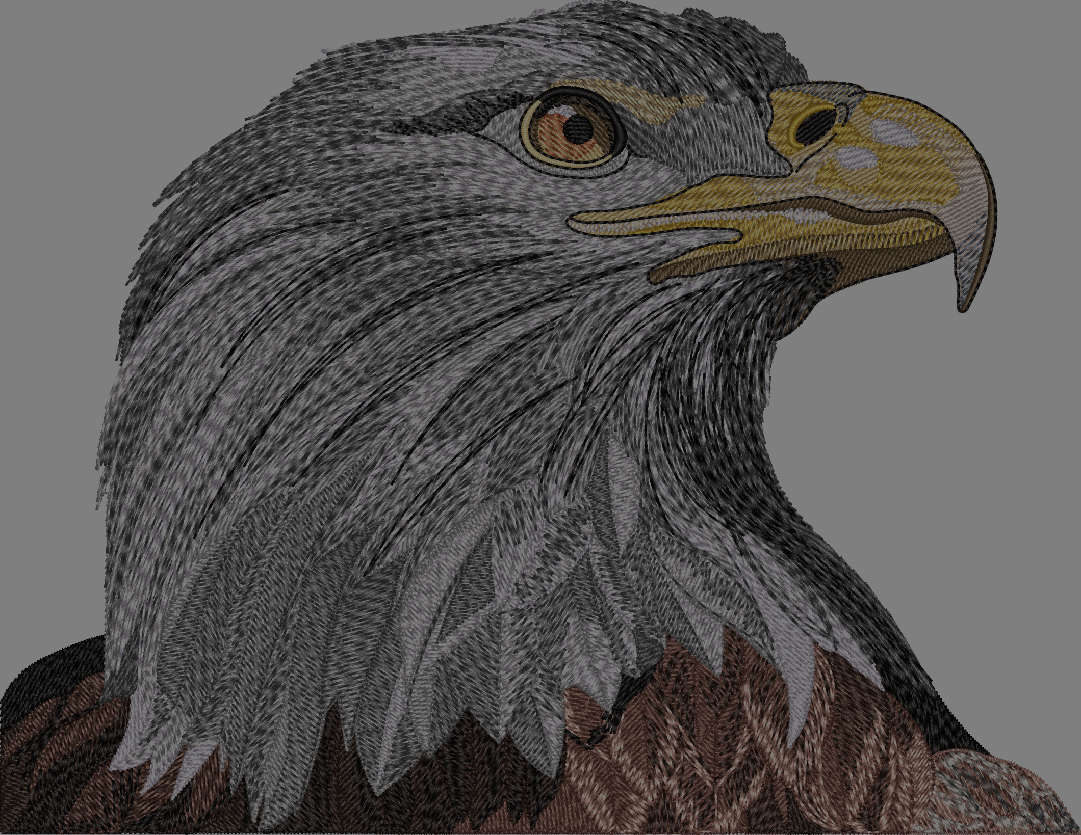 FLAG_BALD_EAGLE-2_head_only_2.png