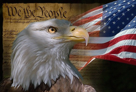 Bald eagle with American flag and Constitution in the background